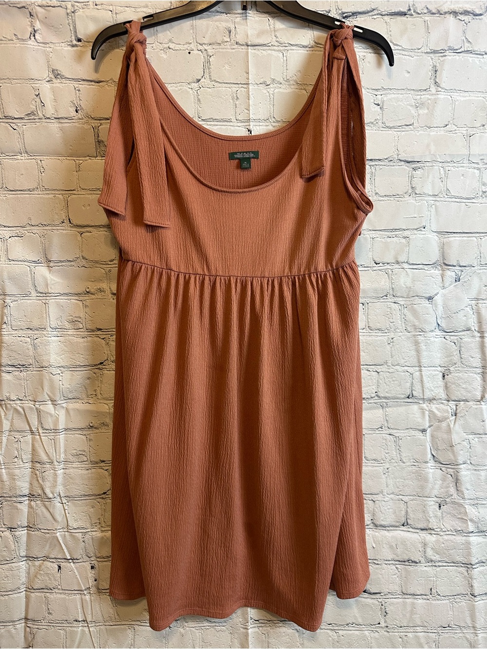 wild fable Rust Tie-Shoulder Mini Dress